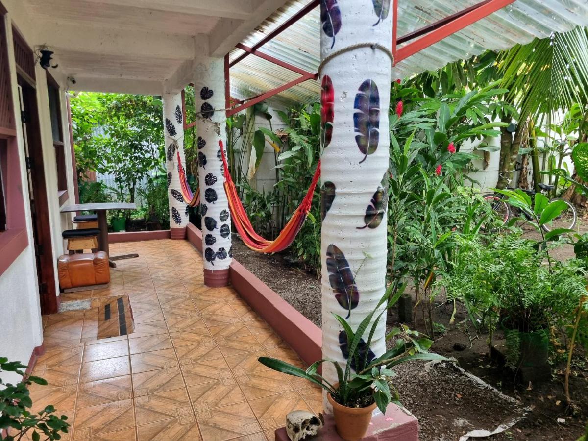 Wildlife Art Tortuguero Exterior foto