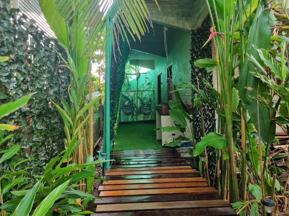 Wildlife Art Tortuguero Exterior foto