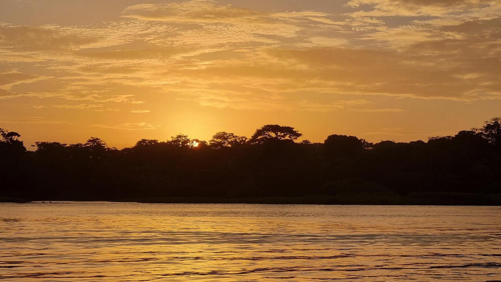 Wildlife Art Tortuguero Exterior foto