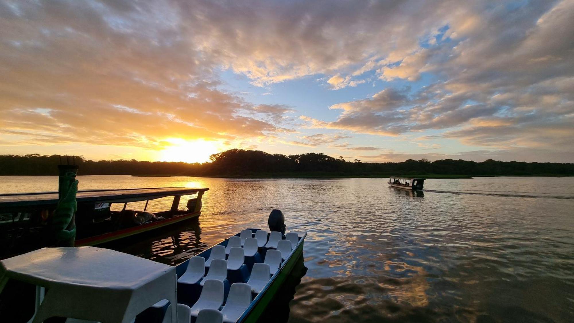 Wildlife Art Tortuguero Exterior foto