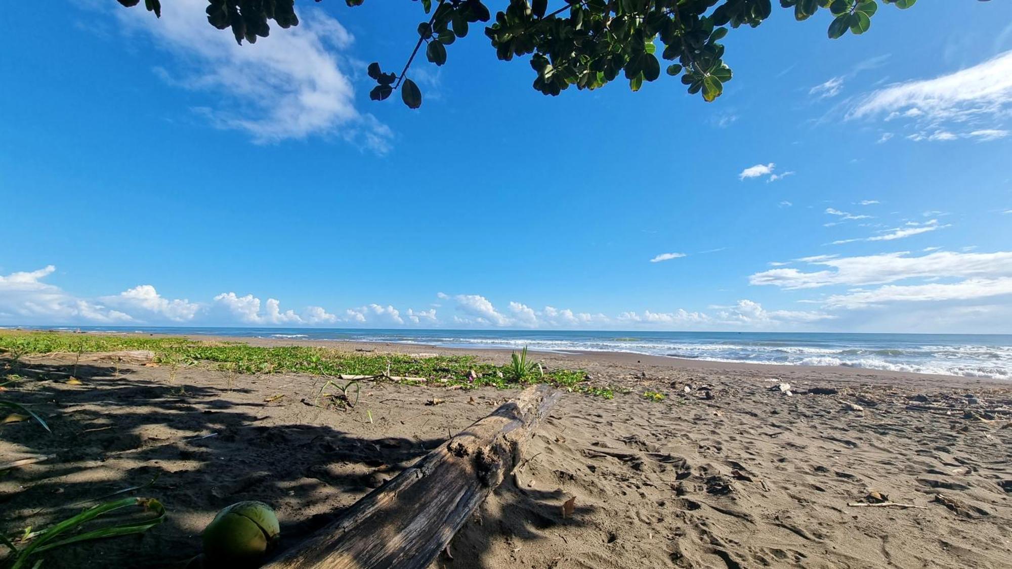 Wildlife Art Tortuguero Exterior foto