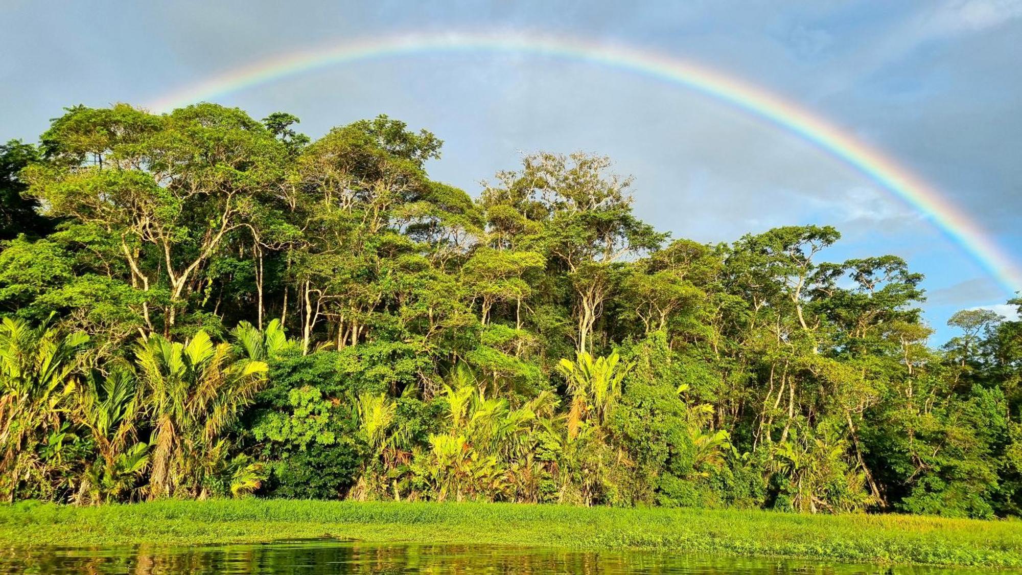 Wildlife Art Tortuguero Exterior foto